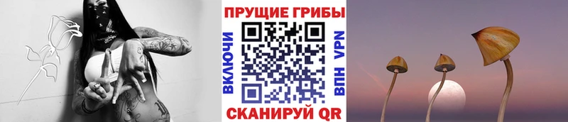 Псилоцибиновые грибы ЛСД  Сызрань 